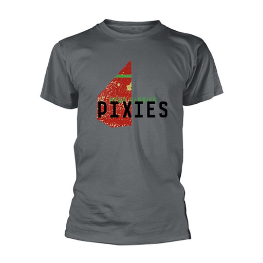T-Shirt - Pixies - Head Carrier - Grey