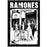 Flag - Ramones - CBGB Photo